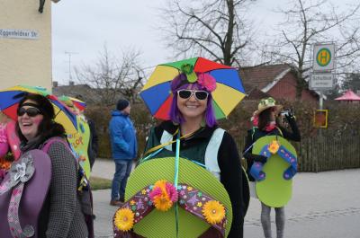 Foto des Albums: Rosenmontag 2020 - Fotos Werner Schachtner