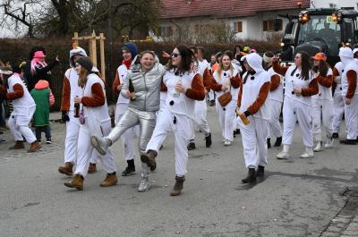 Foto des Albums: Rosenmontag 2020 - Fotos Werner Schachtner