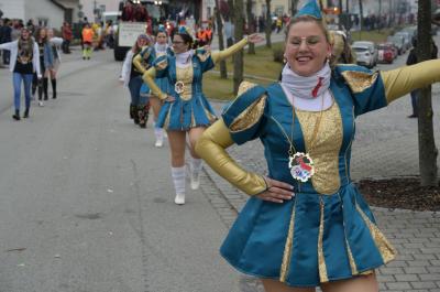Foto des Albums: Rosenmontag 2020 - Fotos Werner Schachtner
