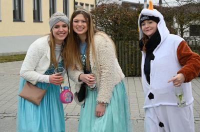 Foto des Albums: Rosenmontag 2020 - Fotos Werner Schachtner