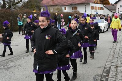 Foto des Albums: Rosenmontag 2020 - Fotos Werner Schachtner