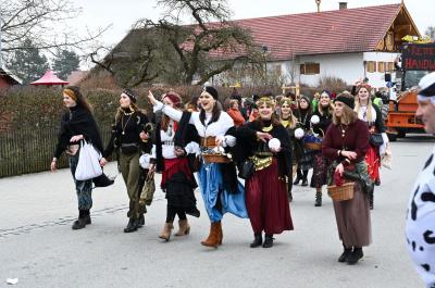 Foto des Albums: Rosenmontag 2020 - Fotos Werner Schachtner