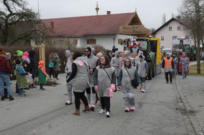 Foto des Albums: Rosenmontag 2020 - Fotos Werner Schachtner