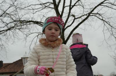 Foto des Albums: Rosenmontag 2020 - Fotos Werner Schachtner
