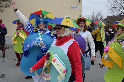 Foto des Albums: Rosenmontag 2020 - Fotos Werner Schachtner