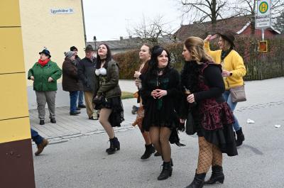 Foto des Albums: Rosenmontag 2020 - Fotos Werner Schachtner