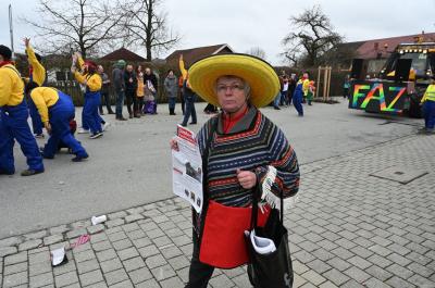Foto des Albums: Rosenmontag 2020 - Fotos Werner Schachtner