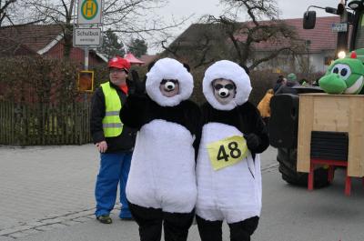 Foto des Albums: Rosenmontag 2020 - Fotos Werner Schachtner