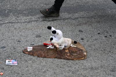 Foto des Albums: Rosenmontag 2020 - Fotos Werner Schachtner