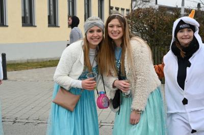 Foto des Albums: Rosenmontag 2020 - Fotos Werner Schachtner