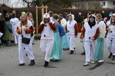 Foto des Albums: Rosenmontag 2020 - Fotos Werner Schachtner