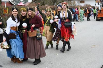 Foto des Albums: Rosenmontag 2020 - Fotos Werner Schachtner