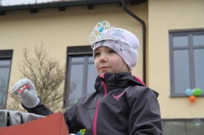 Foto des Albums: Rosenmontag 2020 - Fotos Werner Schachtner