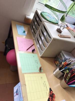 Foto des Albums: Schmetterlinge züchten in der 3b