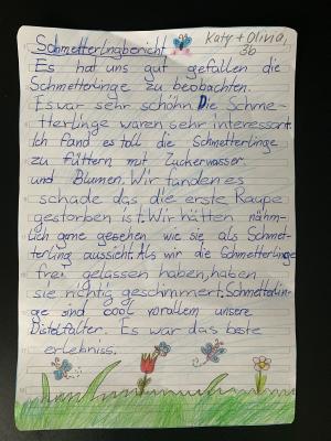Foto des Albums: Schmetterlinge züchten in der 3b