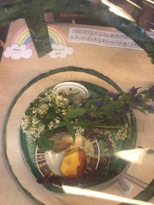 Foto des Albums: Schmetterlinge züchten in der 3b