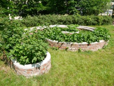 Foto des Albums: Kita Erweiterung