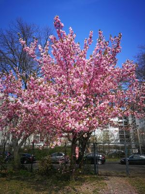 Foto des Albums: Unsere Kita