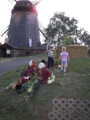 Foto des Albums: Erntefest an der Mühle in Schöna-Kolpien (30.08.2008)