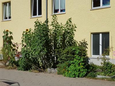 Foto des Albums: Eindrücke aus unserer Kita