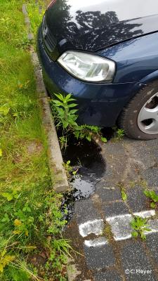 Foto des Albums: Auslaufen von Betriebsstoffen Fahrbahn - THS
