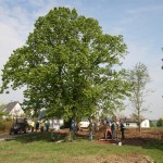 Foto des Albums: Ortseingang Zilshausen verschönert