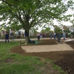 Foto des Albums: Ortseingang Zilshausen verschönert