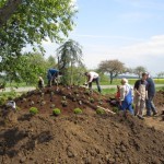 Foto des Albums: Ortseingang Zilshausen verschönert