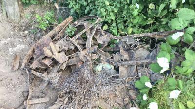 Foto des Albums: Zaunbau
