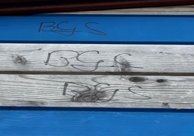 Foto des Albums: Schmierereien und Graffitis in Grasleben