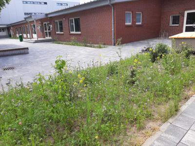 Foto des Albums: Impressionen aus den Sommerferien