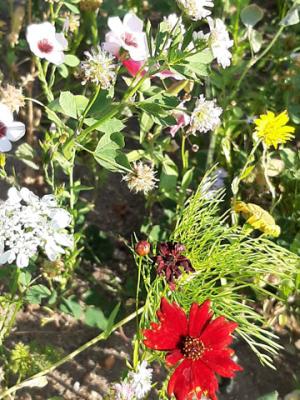 Foto des Albums: Impressionen aus den Sommerferien