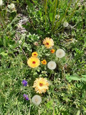 Foto des Albums: Impressionen aus den Sommerferien