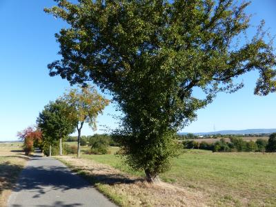 Foto des Albums: Landschaft am nördlichen Stadtrand von Vellmar
