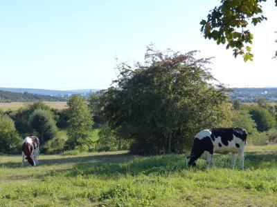 Foto des Albums: Landschaft am nördlichen Stadtrand von Vellmar