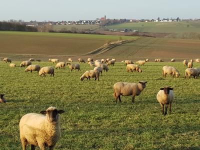 Foto des Albums: Landschaft am nördlichen Stadtrand von Vellmar