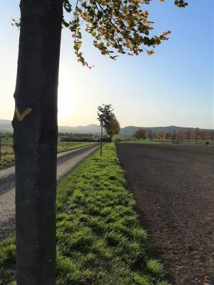 Foto des Albums: Landschaft am nördlichen Stadtrand von Vellmar