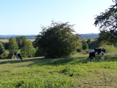 Foto des Albums: Landschaft am nördlichen Stadtrand von Vellmar