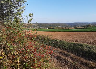 Foto des Albums: Landschaft am nördlichen Stadtrand von Vellmar