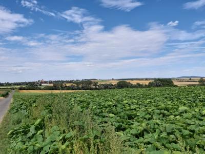 Foto des Albums: Landschaft am nördlichen Stadtrand von Vellmar