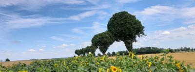 Foto des Albums: Landschaft am nördlichen Stadtrand von Vellmar