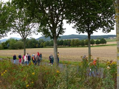 Foto des Albums: Wanderung zur Kurve Kassel