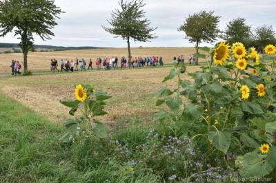 Foto des Albums: Wanderung zur Kurve Kassel
