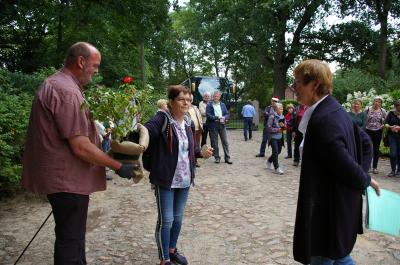 Foto des Albums: Hofidylle Lavendelblau und Wald (30.08.2018)