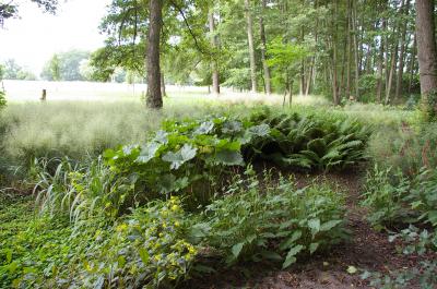 Foto des Albums: Hofidylle Lavendelblau und Wald (30.08.2018)