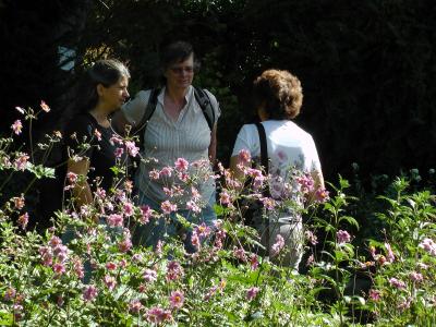 Foto des Albums: Foerster-Garten in Potsdam-Bornim - 2020 (24.08.2020)