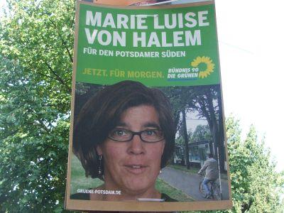 Foto des Albums: Kommunalwahl 2008: Wahlplakate der Partei Bündnis 90 Die Grünen (19.09.2008)