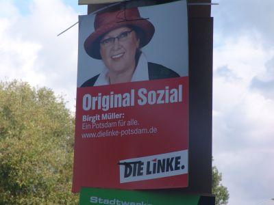 Foto des Albums: Kommunalwahl 2008: Wahlplakate der Partei Die Linke (19.09.2008)