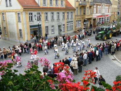 Foto des Albums: Kreiserntefest des Landkreises Teltow-Fläming in Dahme/Mark (20.09.2008)