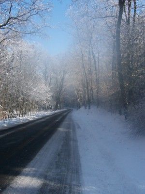 Foto des Albums: Winterimpressionen aus dem Schradenland (07. 02. 2006)